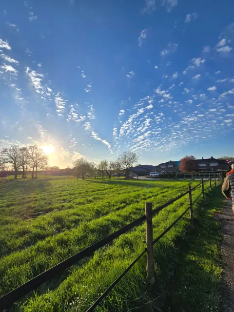 Jahresrückblick 2025 - Bild 3